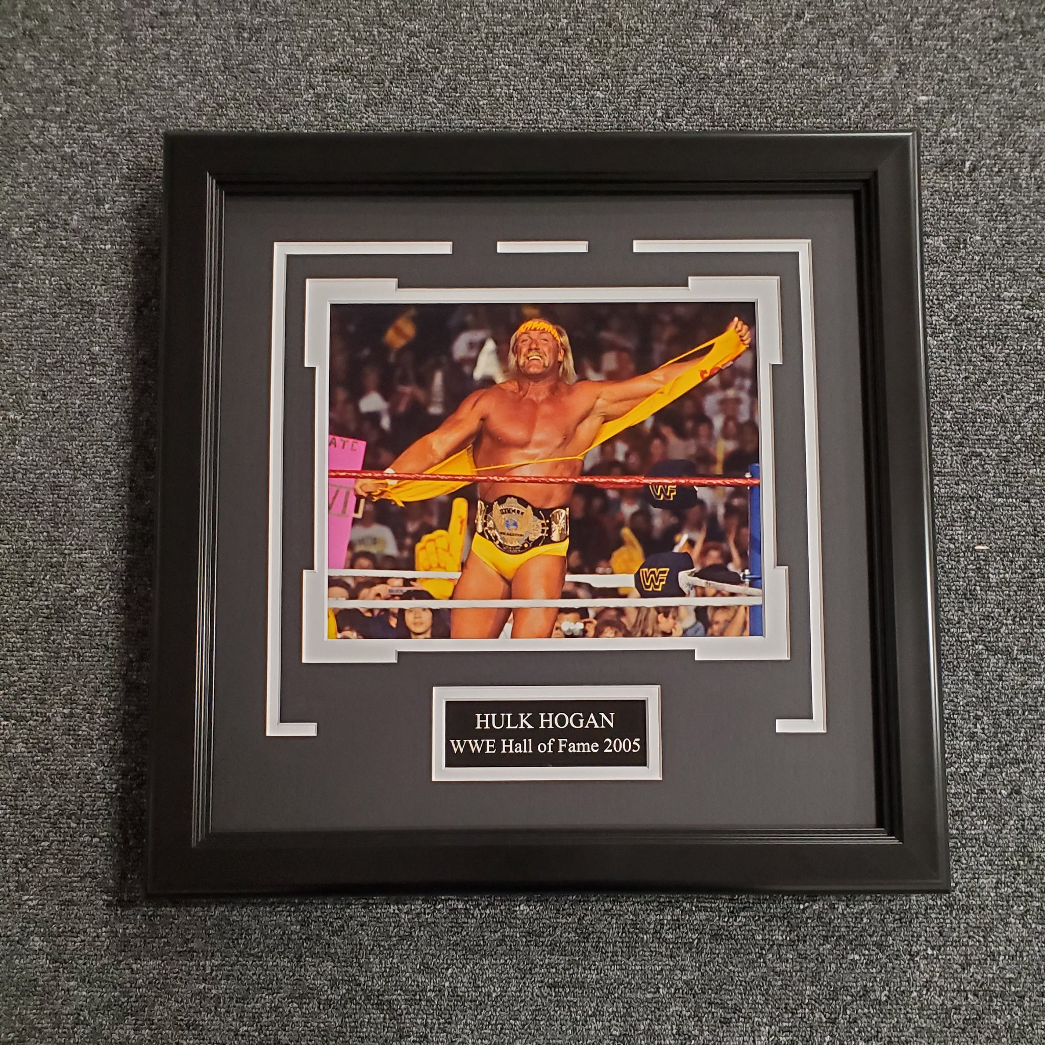 Hulk Hogan Unsigned 8x10 (0181)