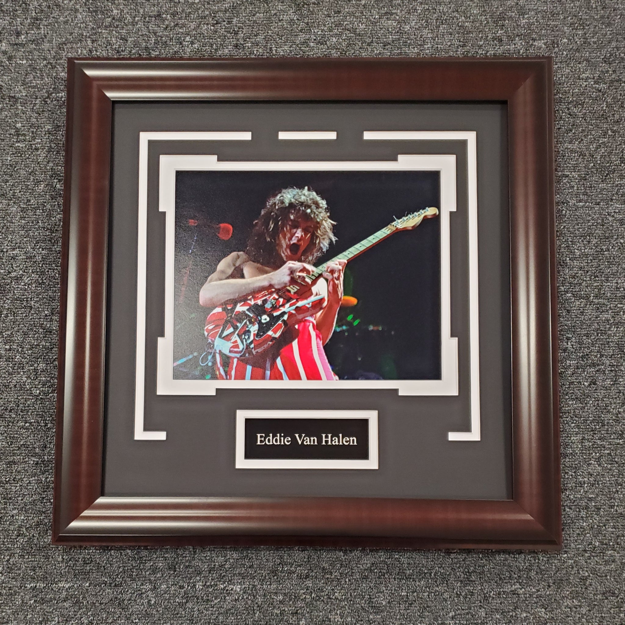 Eddie Van Halen Unsigned 8x10 (0501)